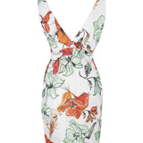 Ellysia Dress