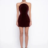 Burgundy Velvet Mini Bodycon Dress - Burgundy - Souvie